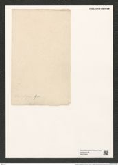 Biddulphia weissflogii Grun. (de-Toni-Nr.: Genus 123, Species 3489) Zeichnungen Sammlung Grunow (NHMW-BOT-W0375884)